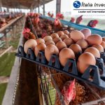 ID-1103 Poultry FarmProduction – Distribution