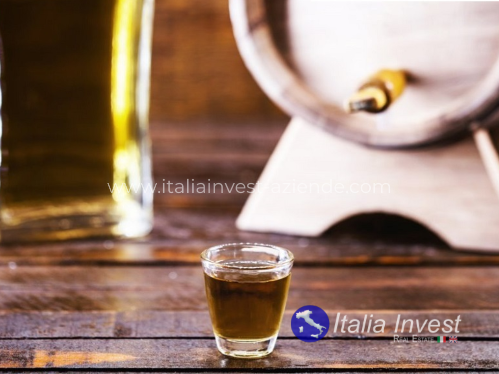 Italia Invest. Aziende e attività commerciali in vendita. Qualificati e specializzati nell'intermediazione aziendale. Azienda in vendita.